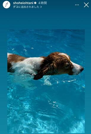 　大谷翔平インスタグラム（ｓｈｏｈｅｉｏｈｔａｎｉ）ストーリーズより