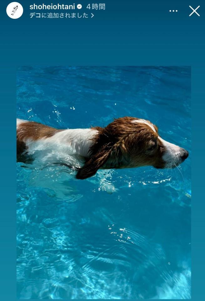 　大谷翔平インスタグラム（ｓｈｏｈｅｉｏｈｔａｎｉ）ストーリーズより