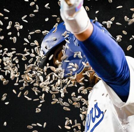 　七回、１０号ソロを放ち大量のひまわりの種を浴びるベッツ（ロサンゼルス・ドジャース提供）