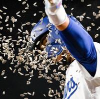 　七回、１０号ソロを放ち大量のひまわりの種を浴びるベッツ（ロサンゼルス・ドジャース提供）