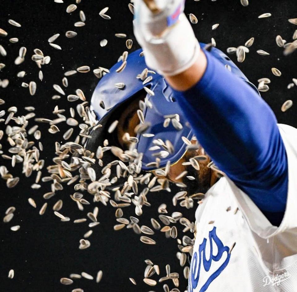 　七回、１０号ソロを放ち大量のひまわりの種を浴びるベッツ（ロサンゼルス・ドジャース提供）