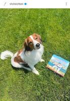 　大谷翔平のインスタグラム（ｓｈｏｈｅｉｏｈｔａｎｉ）より