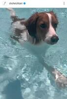 　大谷翔平のインスタグラム（ｓｈｏｈｅｉｏｈｔａｎｉ）より