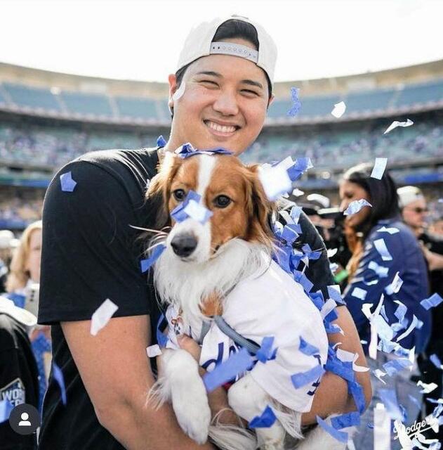 大谷翔平に「朝から癒やしをありがとう」デコピンが上手に犬かき
