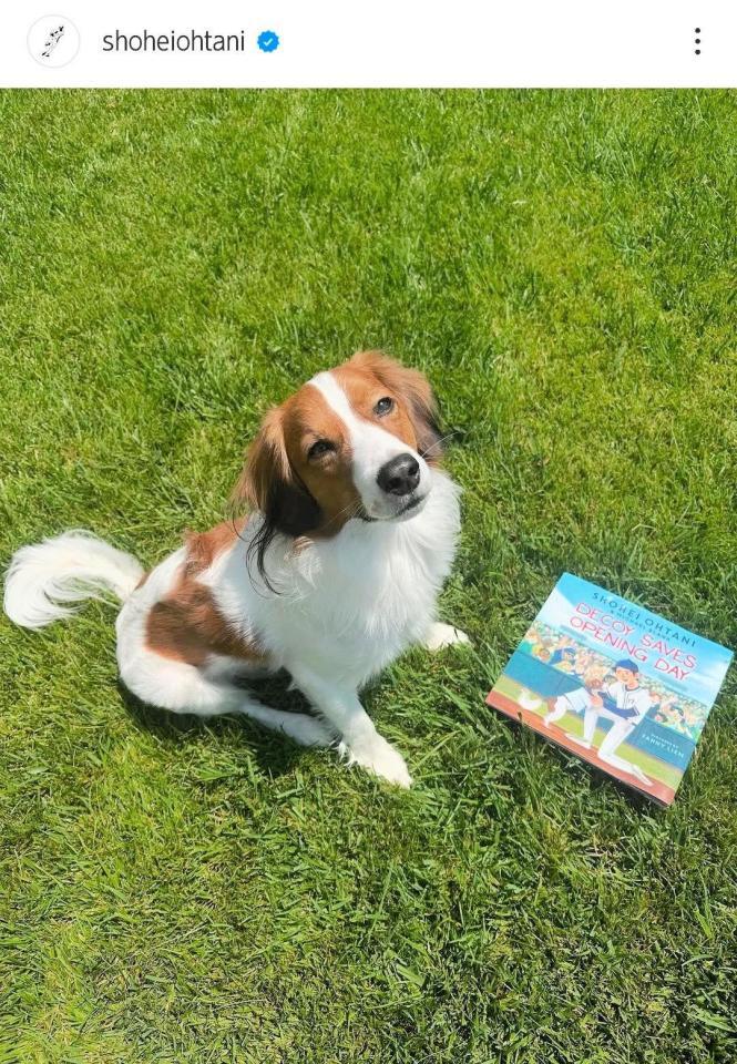 　大谷翔平のインスタグラム（ｓｈｏｈｅｉｏｈｔａｎｉ）より