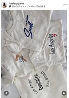 　スネル投手の妻ヘイリーさんのインスタグラム＠ｈａｅｌｅｙｒｙａｎｅより