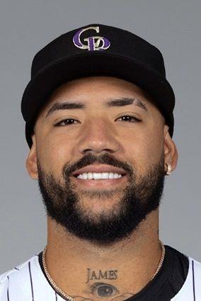 ロッキーズの一塁手・バナベルが初回に負傷交代のアクシデント　ネットの支柱に左側頭部をぶつける　脳震盪の症状か