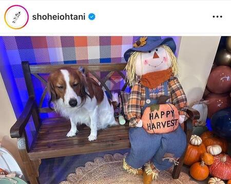 　大谷翔平インスタグラム（ｓｈｏｈｅｉｏｈｔａｎｉ）より