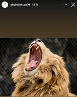 　大谷翔平のインスタグラム＠ｓｈｏｈｅｉｏｈｔａｎｉより