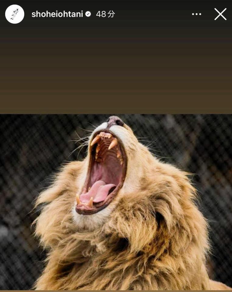 　大谷翔平のインスタグラム＠ｓｈｏｈｅｉｏｈｔａｎｉより