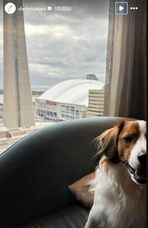 　大谷翔平のインスタグラム（ｓｈｏｈｅｉｏｈｔａｎｉ）より