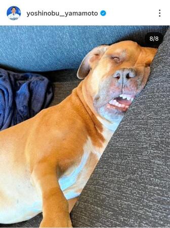 山本由伸のインスタグラム（＠ｙｏｓｈｉｎｏｂｕ＿ｙａｍａｍｏｔｏ）から