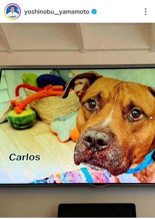 山本由伸のインスタグラム（＠ｙｏｓｈｉｎｏｂｕ＿ｙａｍａｍｏｔｏ）から