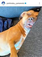 山本由伸のインスタグラム（＠ｙｏｓｈｉｎｏｂｕ＿ｙａｍａｍｏｔｏ）から
