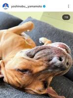 山本由伸のインスタグラム（＠ｙｏｓｈｉｎｏｂｕ＿ｙａｍａｍｏｔｏ）から