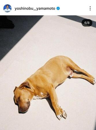 山本由伸のインスタグラム（＠ｙｏｓｈｉｎｏｂｕ＿ｙａｍａｍｏｔｏ）から