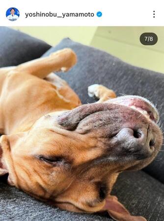 山本由伸のインスタグラム（＠ｙｏｓｈｉｎｏｂｕ＿ｙａｍａｍｏｔｏ）から