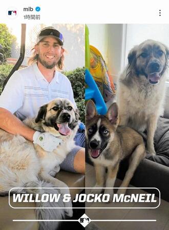 　ＭＬＢ公式インスタグラム（ｍｌｂ）より