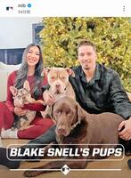 　ＭＬＢ公式インスタグラム（ｍｌｂ）より