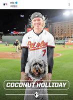 　ＭＬＢ公式インスタグラム（ｍｌｂ）より