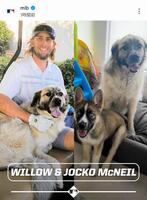 　ＭＬＢ公式インスタグラム（ｍｌｂ）より