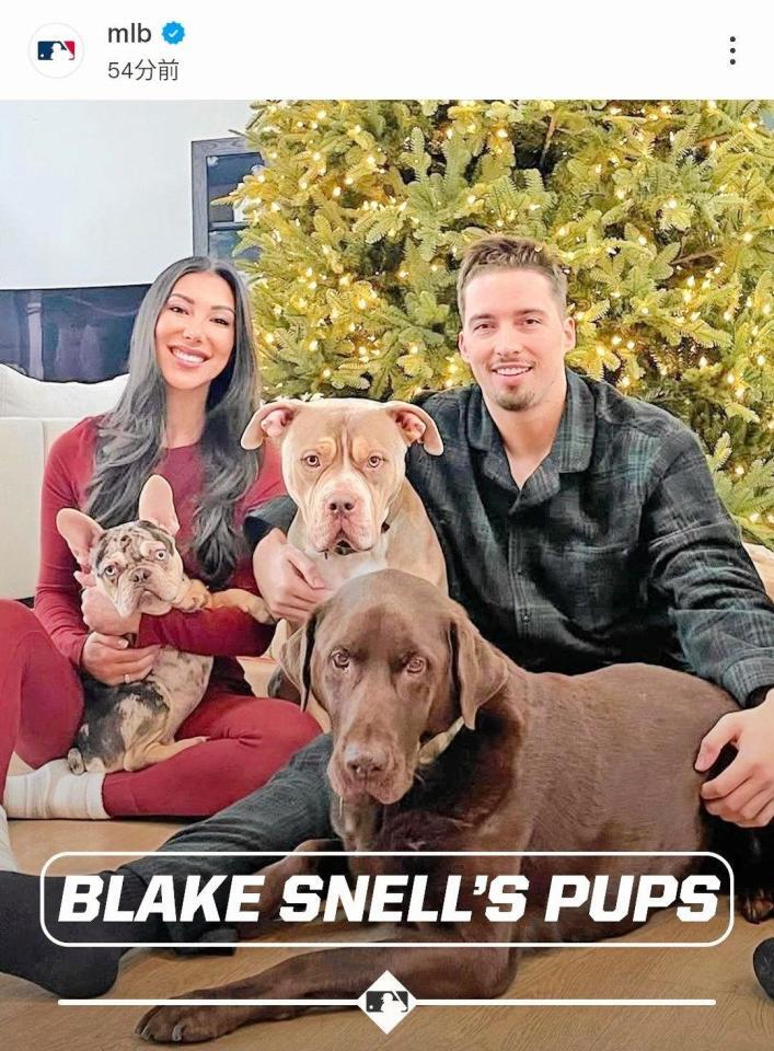 　ＭＬＢ公式インスタグラム（ｍｌｂ）より