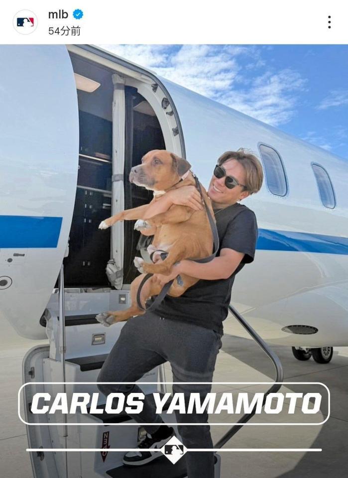 　ＭＬＢ公式インスタグラム（ｍｌｂ）より