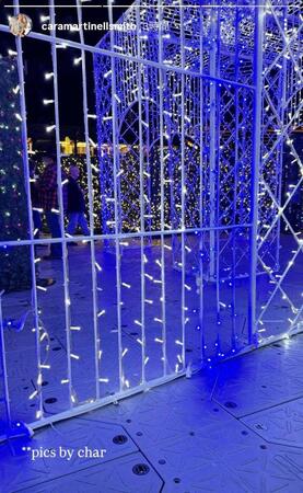 　スミスの妻・カラさんのインスタグラム（ｃａｒａｍａｒｔｉｎｅｌｌｓｍｉｔｈ）より