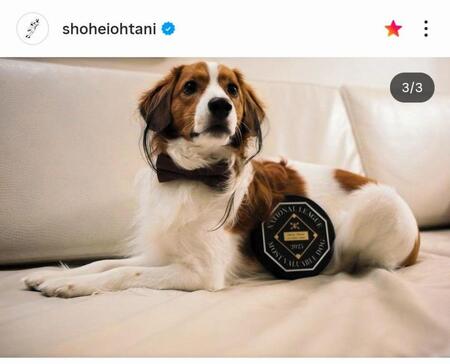 　大谷翔平のインスタグラム（ｓｈｏｈｅｉｏｈｔａｎｉ）より