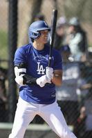 　実戦形式の打撃練習を行うドジャース・大谷＝グレンデール（共同）