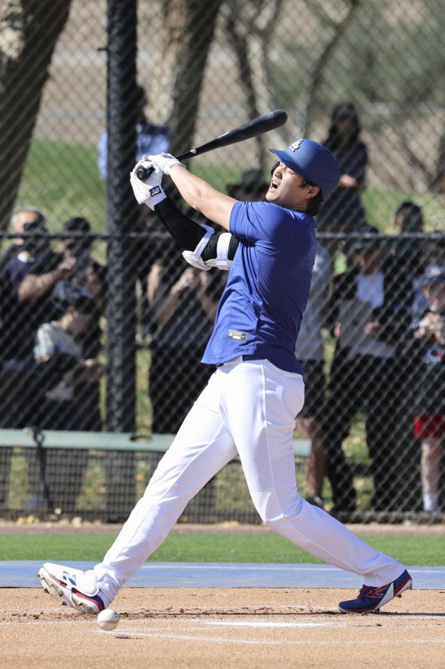 　実戦形式の打撃練習を行うドジャース・大谷＝グレンデール（共同）