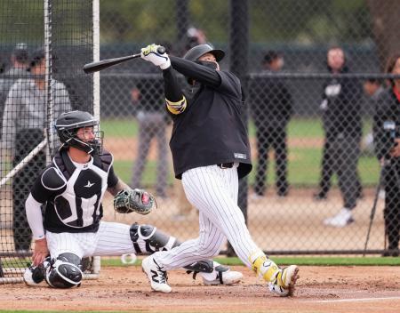 　実戦形式の練習をするホワイトソックス・村上＝グレンデール（共同）