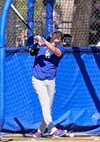 　フリー打撃を行う大谷（共同）