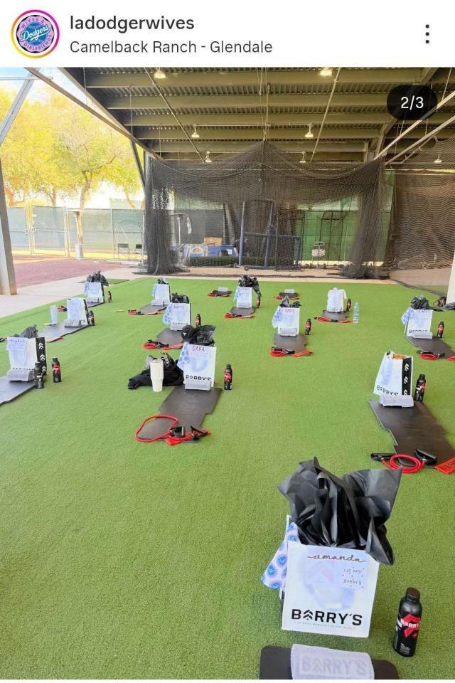ドジャース奥様会のインスタグラム（＠ｌａｄｏｄｇｅｒｗｉｖｅｓ）から