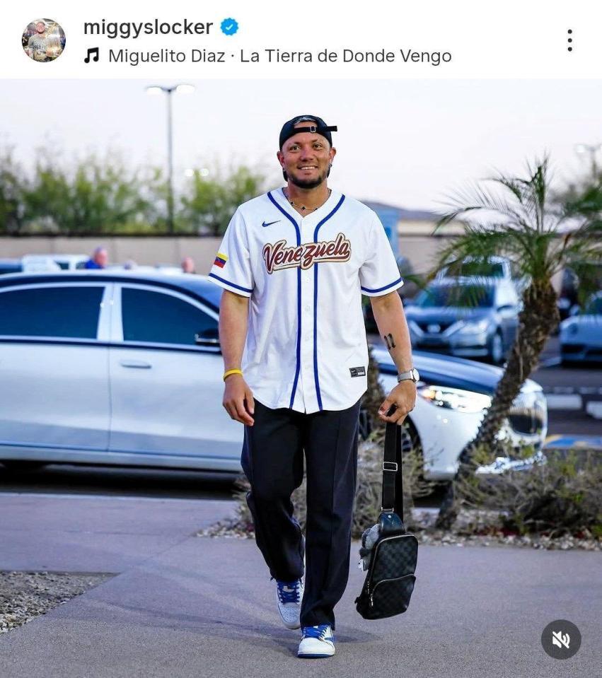 ロハスのインスタグラム（ｍｉｇｇｙｓｌｏｃｋｅｒ）より