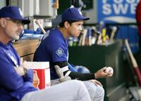 　エンゼルス戦のベンチで試合を見るドジャース・大谷＝アナハイム（共同）