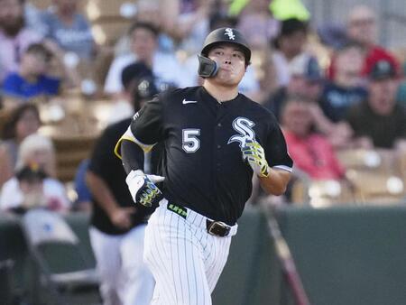 　マリナーズ戦の２回、中飛に倒れたホワイトソックス・村上（共同）