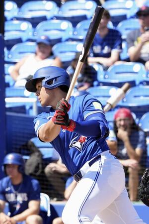 　紅白戦の１回、左前打を放つブルージェイズ・岡本＝ダンイーデン（共同）