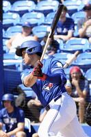 　紅白戦の１回、左前打を放つブルージェイズ・岡本＝ダンイーデン（共同）