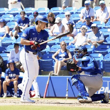 　紅白戦の３回、死球を受けるブルージェイズ・岡本＝ダンイーデン（共同）