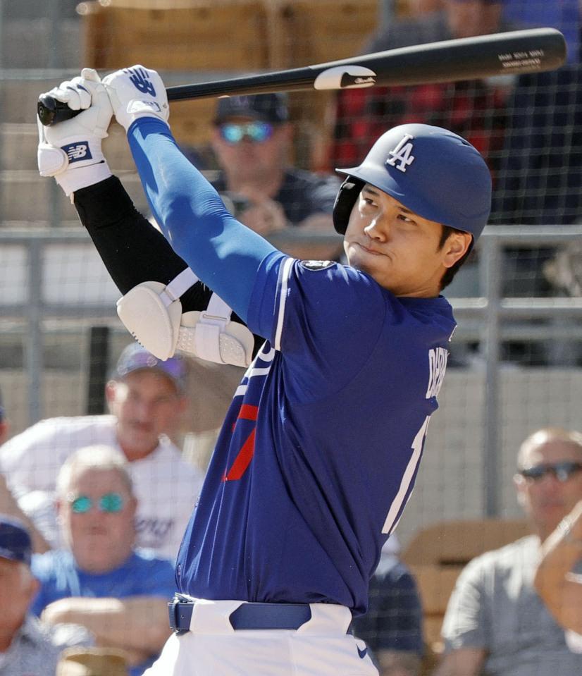 ドジャース・大谷（提供・共同通信社）