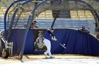 試合前に打撃練習する・大谷（共同）