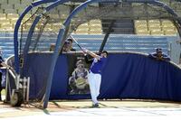 試合前に打撃練習する大谷（共同）