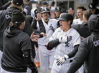 　ブルージェイズ戦の６回、日米通算２５０本塁打となる４号２ランを放ち、ベンチで喜ぶホワイトソックス・村上＝シカゴ（共同）
