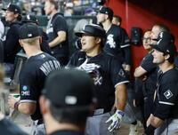 ２回、４試合連続本塁打となる９号ソロを放ちベンチで喜ぶ村上（共同）