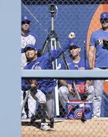 　ブルペンで投球練習するカブス・今永＝ロサンゼルス（共同）