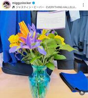 　ロハスのインスタグラム（ｍｉｇｇｙｓｌｏｃｋｅｒ）より 