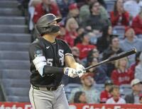 　エンゼルス戦の４回、14号２ランを放ち打球の行方を見つめるホワイトソックス・村上＝アナハイム（共同）