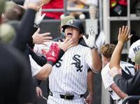 　カブス戦の３回、16号ソロを放ちチームメートに迎えられるホワイトソックス・村上＝シカゴ（共同）