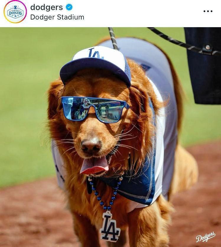 ドジャースの公式インスタグラム＠ｄｏｄｇｅｒｓより
